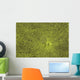 Close-Up Of Green Slime On Pond Wall Mural