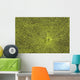 Close-Up Of Green Slime On Pond Wall Mural