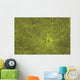 Close-Up Of Green Slime On Pond Wall Mural