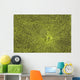 Close-Up Of Green Slime On Pond Wall Mural