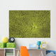 Close-Up Of Green Slime On Pond Wall Mural