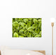 False Solomon's Seal, Ontario, Canada Wall Mural