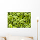 False Solomon's Seal, Ontario, Canada Wall Mural