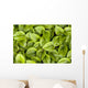 False Solomon's Seal, Ontario, Canada Wall Mural