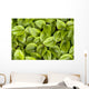 False Solomon's Seal, Ontario, Canada Wall Mural