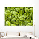 False Solomon's Seal, Ontario, Canada Wall Mural