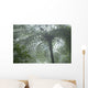 Cloud Forest Ceiling, Costa Rica Wall Mural