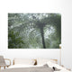 Cloud Forest Ceiling, Costa Rica Wall Mural