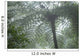 Cloud Forest Ceiling, Costa Rica Wall Mural