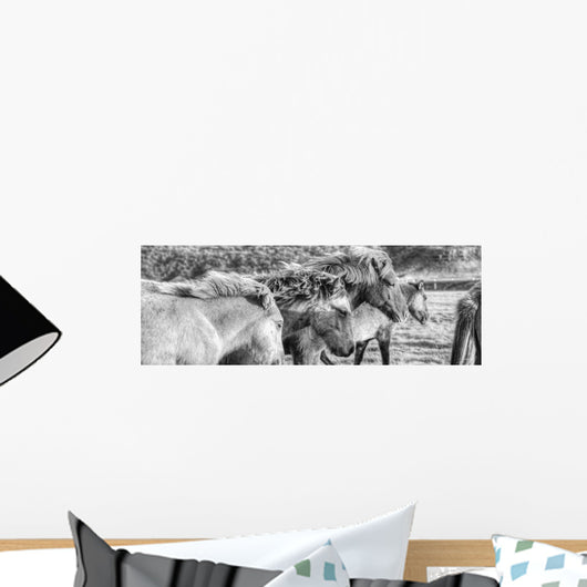 Black And White Image Of Icelandic Horses In The Wind, Iceland Wall Mural