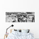 Black And White Image Of Icelandic Horses In The Wind, Iceland Wall Mural