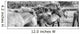 Black And White Image Of Icelandic Horses In The Wind, Iceland Wall Mural