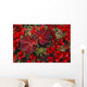 Bearberry And Cloudberry Plants In Fall Colour Wall Mural