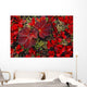 Bearberry And Cloudberry Plants In Fall Colour Wall Mural