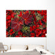 Bearberry And Cloudberry Plants In Fall Colour Wall Mural
