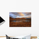 Morning Sunlight Wall Mural