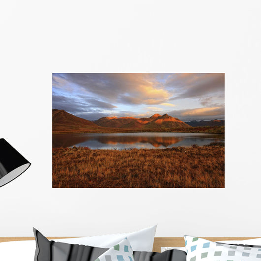 Morning Sunlight Wall Mural