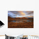 Morning Sunlight Wall Mural