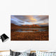 Morning Sunlight Wall Mural