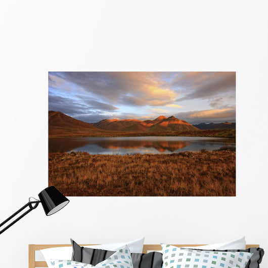 Morning Sunlight Wall Mural