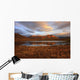 Morning Sunlight Wall Mural