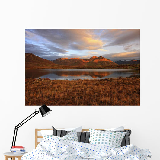 Morning Sunlight Wall Mural