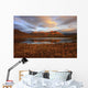 Morning Sunlight Wall Mural
