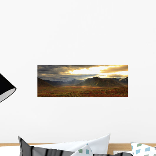 Panoramic Image Of Late Afternoon Sunlight Wall Mural