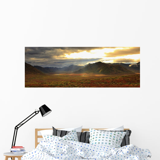 Panoramic Image Of Late Afternoon Sunlight Wall Mural