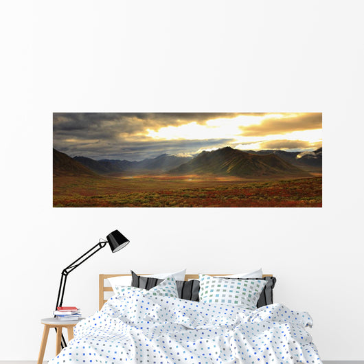 Panoramic Image Of Late Afternoon Sunlight Wall Mural