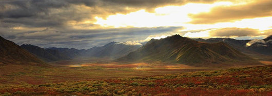 Panoramic Image Of Late Afternoon Sunlight Wall Mural