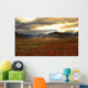 Shaft Of Sunlight Hitting The Fall Colours Of The Dempster Highway Wall Mural