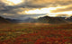 Shaft Of Sunlight Hitting The Fall Colours Of The Dempster Highway Wall Mural