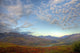Dawn Over The Fall Colours Of The North Klondike Valley Wall Mural