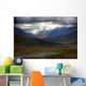 Shaft Of Sunlight Hitting The North Klondike Valley Wall Mural