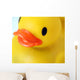 Gummiente Wall Mural