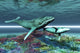 WHALE SONG Wall Mural
