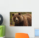 Grizzly Bear, Yukon Wall Mural