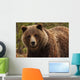 Grizzly Bear, Yukon Wall Mural