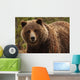 Grizzly Bear, Yukon Wall Mural