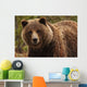Grizzly Bear, Yukon Wall Mural
