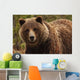 Grizzly Bear, Yukon Wall Mural
