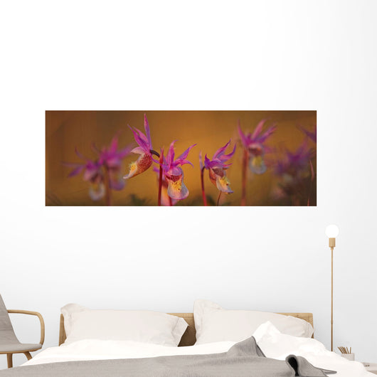 Calypso Or Snapdragons Near Teslin, Yukon Wall Mural