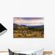 Destruction And Re-Growth After Forest Fire Wall Mural