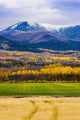 Minor Range Along Klondike Highway, Yukon Wall Mural