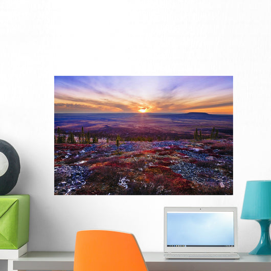 Fall Colours And Sunset Along Dempster Highway, Yukon Wall Mural