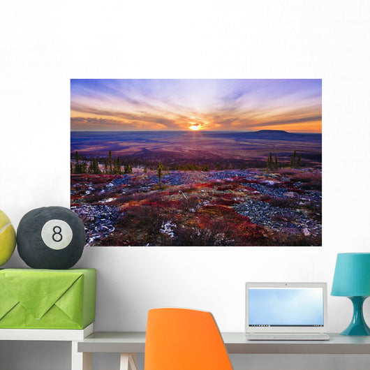 Fall Colours And Sunset Along Dempster Highway, Yukon Wall Mural