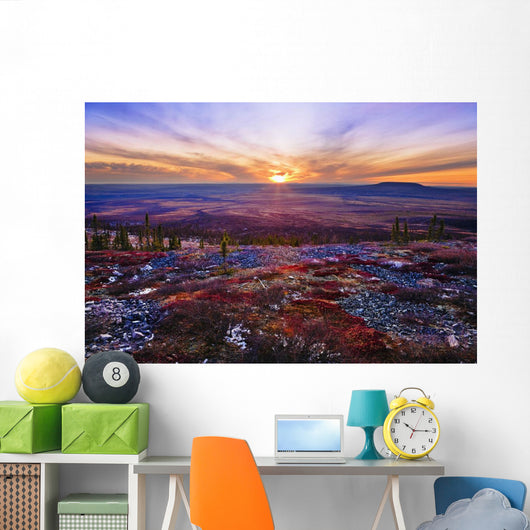 Fall Colours And Sunset Along Dempster Highway, Yukon Wall Mural