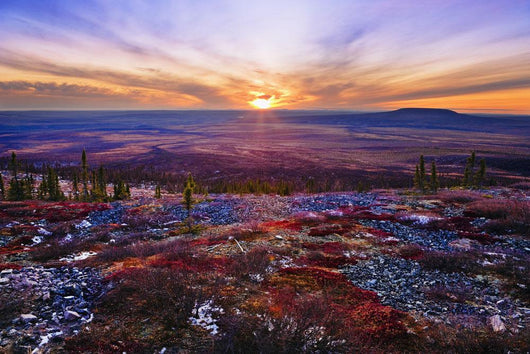 Fall Colours And Sunset Along Dempster Highway, Yukon Wall Mural