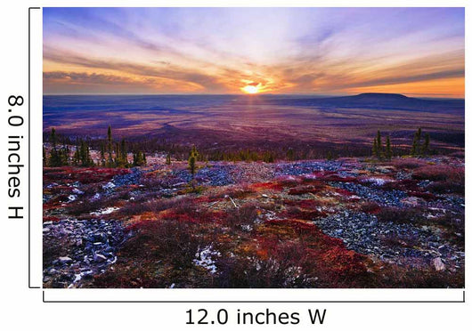 Fall Colours And Sunset Along Dempster Highway, Yukon Wall Mural